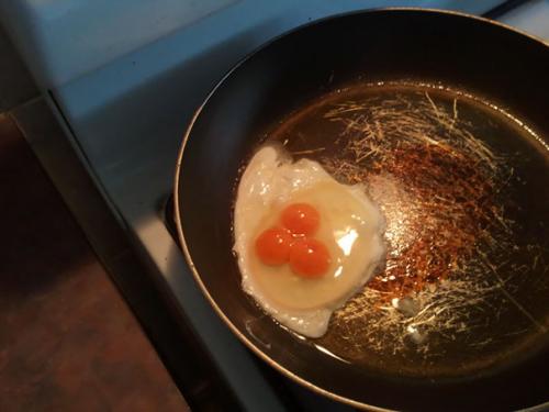 Obrázek č. 1013595