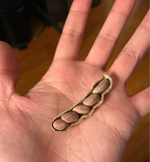 Obrázek č. 1013598