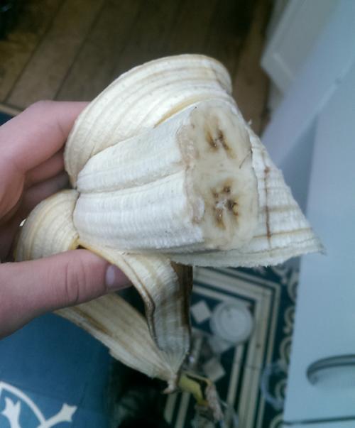 Obrázek č. 1013600