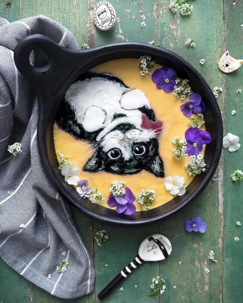 Obrázek č. 1013645