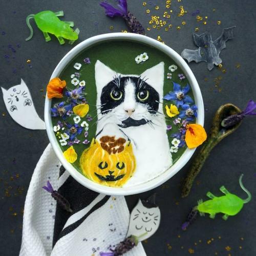 Obrázek č. 1013637