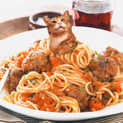 Obrázek č. 1014469