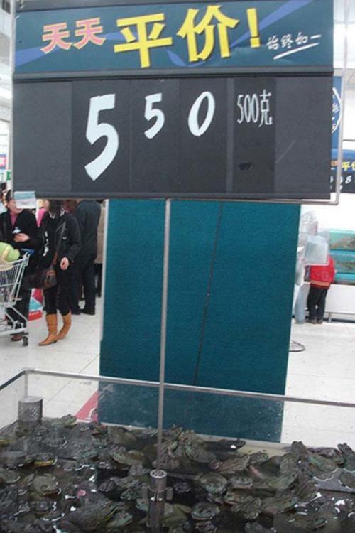 Obrázek č. 1013132