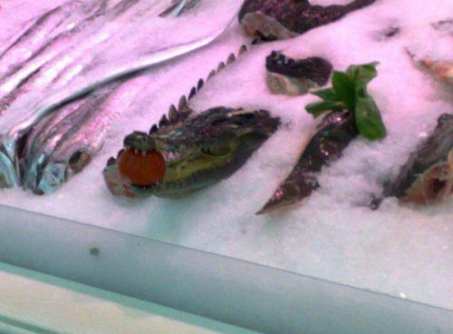 Obrázek č. 1013125