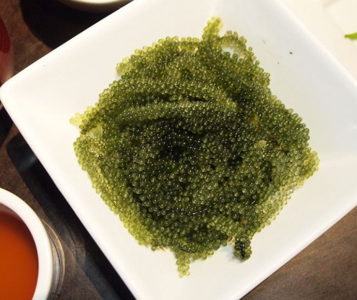 Obrázek č. 1014780