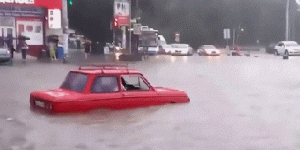https://media.loupak.fun/soubory/obrazky_n/_GIF/1008/2577.gif