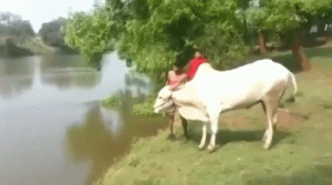 https://media.loupak.fun/soubory/obrazky_n/_GIF/1107/4581.gif