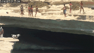 https://media.loupak.fun/soubory/obrazky_n/_GIF/1120/4841.gif