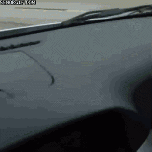 https://media.loupak.fun/soubory/obrazky_n/_GIF/1125/4940.gif