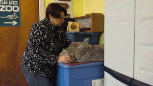 https://media.loupak.fun/soubory/obrazky_n/_GIF/1157/5581.gif