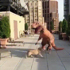 https://media.loupak.fun/soubory/obrazky_n/_GIF/1176/5961.gif