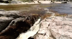 https://media.loupak.fun/soubory/obrazky_n/_GIF/1182/6080.gif