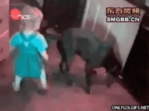 https://media.loupak.fun/soubory/obrazky_n/_GIF/1208/6601.gif