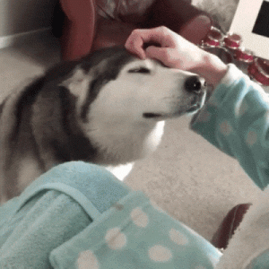https://media.loupak.fun/soubory/obrazky_n/_GIF/1209/0002.gif