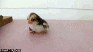 https://media.loupak.fun/soubory/obrazky_n/_GIF/1213/0098.gif