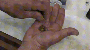 https://media.loupak.fun/soubory/obrazky_n/_GIF/1259/0062.gif