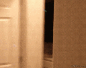https://media.loupak.fun/soubory/obrazky_n/_GIF/1277/0422.gif