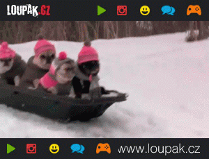 https://media.loupak.fun/soubory/obrazky_n/_GIF/128/gifs_11.gif