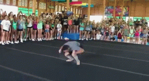 https://media.loupak.fun/soubory/obrazky_n/_GIF/1319/1261.gif