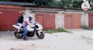 https://media.loupak.fun/soubory/obrazky_n/_GIF/1362/2122.gif