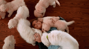 https://media.loupak.fun/soubory/obrazky_n/_GIF/1383/2541.gif