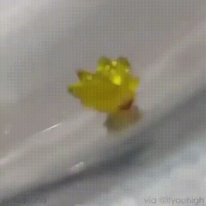 https://media.loupak.fun/soubory/obrazky_n/_GIF/1410/3082.gif
