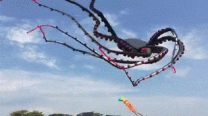 https://media.loupak.fun/soubory/obrazky_n/_GIF/1504/2026.gif