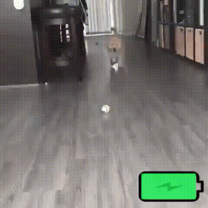 https://media.loupak.fun/soubory/obrazky_n/_GIF/1544/2993.gif