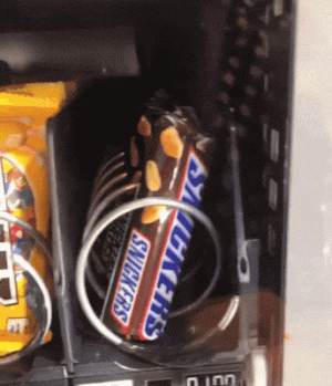 https://media.loupak.fun/soubory/obrazky_n/_GIF/1557/3017daily_gifdump_3020_03.gif