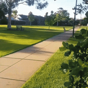 https://media.loupak.fun/soubory/obrazky_n/_GIF/1567/3025daily_gifdump_3027_01.gif