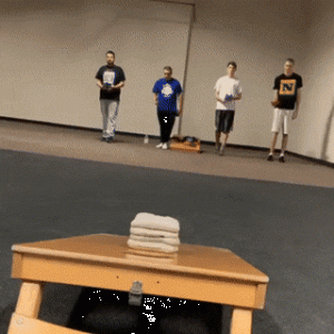 https://media.loupak.fun/soubory/obrazky_n/_GIF/1606/3060daily_gifdump_3057_20.gif