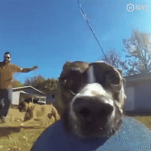 https://media.loupak.fun/soubory/obrazky_n/_GIF/1607/3061daily_gifdump_3058_12.gif