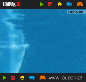 https://media.loupak.fun/soubory/obrazky_n/_GIF/162/i009.gif