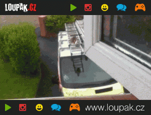 https://media.loupak.fun/soubory/obrazky_n/_GIF/168/o004.gif