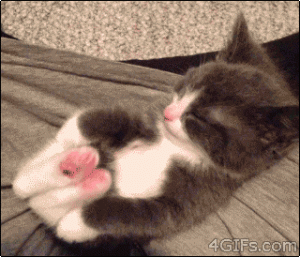https://media.loupak.fun/soubory/obrazky_n/_GIF/1694/208.gif
