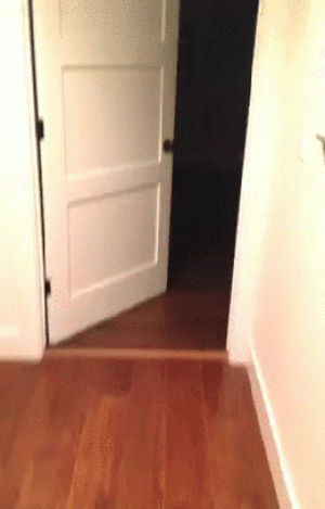 https://media.loupak.fun/soubory/obrazky_n/_GIF/1744/2980.gif