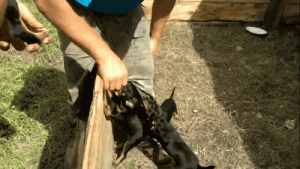 https://media.loupak.fun/soubory/obrazky_n/_GIF/1791/384.gif