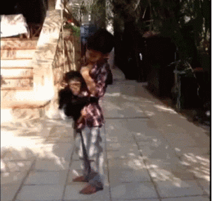 https://media.loupak.fun/soubory/obrazky_n/_GIF/1803/405.gif