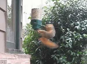 https://media.loupak.fun/soubory/obrazky_n/_GIF/1805/408.gif