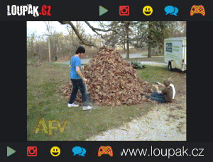 https://media.loupak.fun/soubory/obrazky_n/_GIF/189/0127.gif