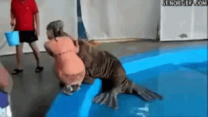 https://media.loupak.fun/soubory/obrazky_n/_GIF/1896/573.gif