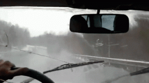https://media.loupak.fun/soubory/obrazky_n/_GIF/1965/697.gif