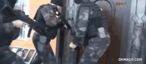 https://media.loupak.fun/soubory/obrazky_n/_GIF/1983/729.gif