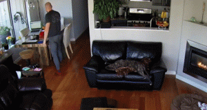 https://media.loupak.fun/soubory/obrazky_n/_GIF/2010/777.gif