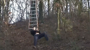 https://media.loupak.fun/soubory/obrazky_n/_GIF/2011/78.gif