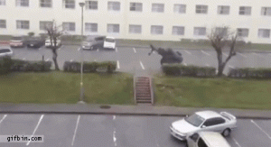 https://media.loupak.fun/soubory/obrazky_n/_GIF/2042/940.gif
