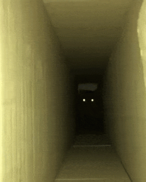 https://media.loupak.fun/soubory/obrazky_n/_GIF/2200/3101.gif