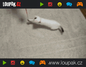 https://media.loupak.fun/soubory/obrazky_n/_GIF/223/1003.gif