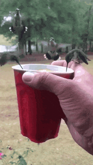 https://media.loupak.fun/soubory/obrazky_n/_GIF/2244/3981.gif