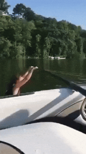 https://media.loupak.fun/soubory/obrazky_n/_GIF/2328/01341.gif
